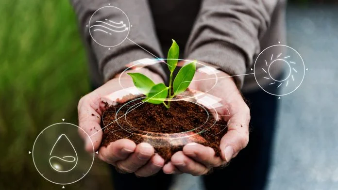 Sema oferece mais de 2 mil vagas em cursos gratuitos de gestão ambiental.