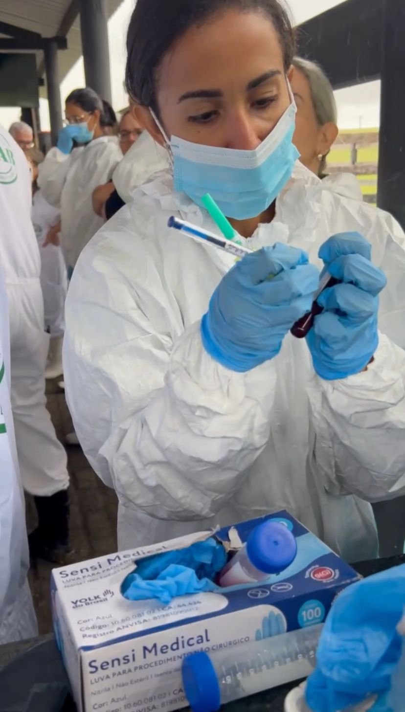 Zona livre de febre aftosa, Bahia quer ampliar mercado de carne.