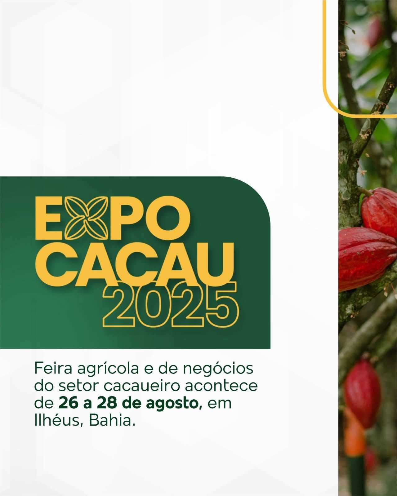 Ilhéus se prepara para a Expo Cacau 2025, de 26 a 28 de agosto, no Centro de Convenções.