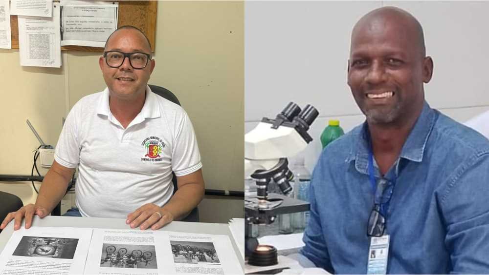 Ilhéus receberá projeto inovador no combate ao mosquito da dengue.