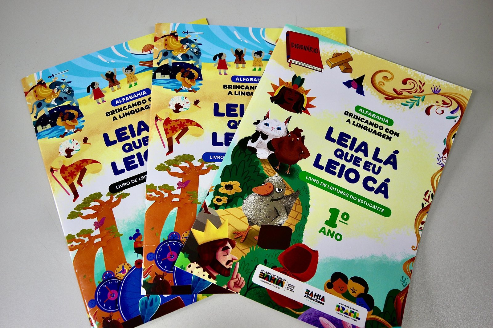 Bahia Alfabetizada: SEC entrega mais de 350 mil livros a municípios baianos.