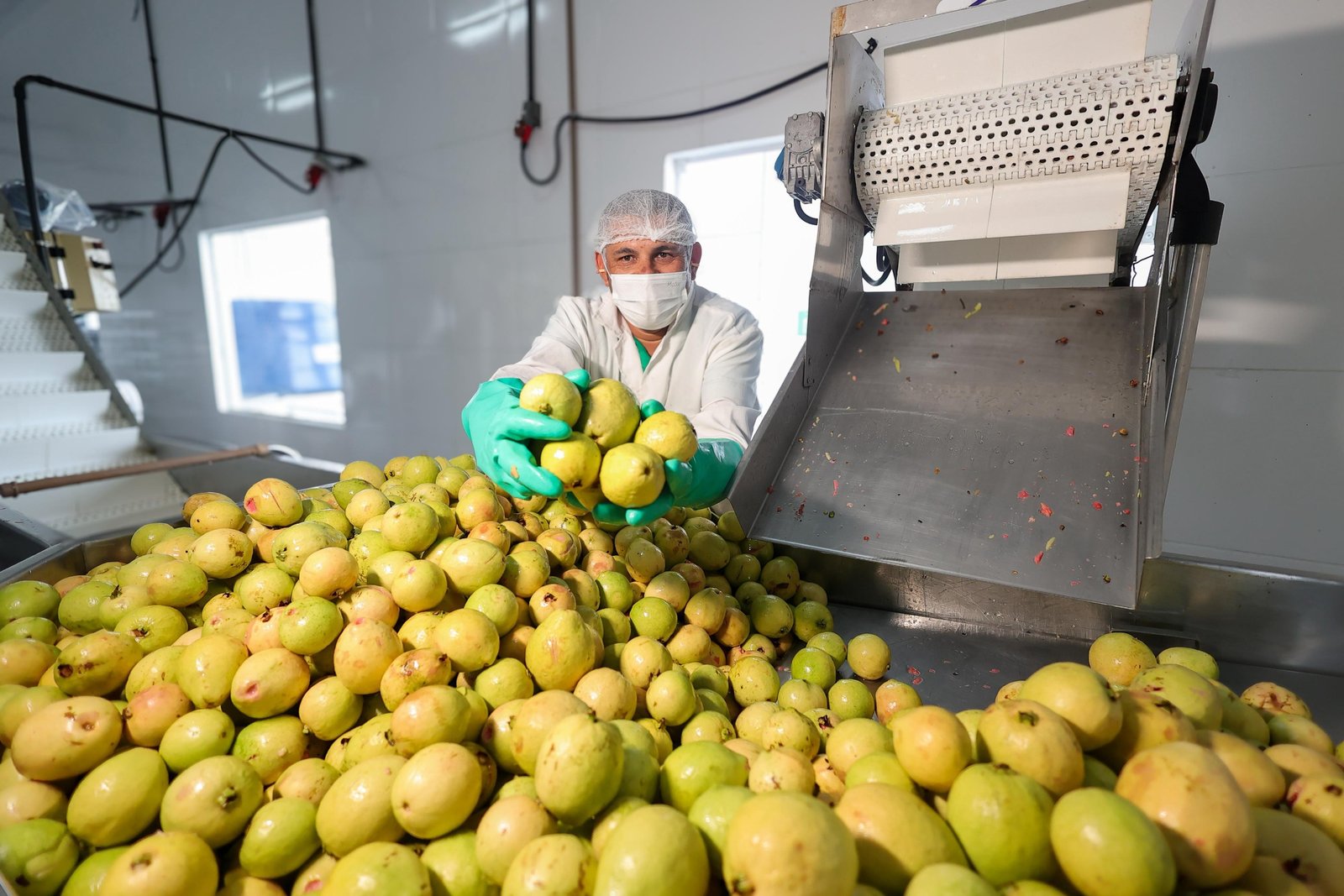 Com investimentos estruturantes, agricultura familiar amplia produção e renda nos municípios baianos.