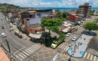 Poda de árvores no Malhado reforça ações da Prefeitura de Ilhéus com o cuidado urbano.