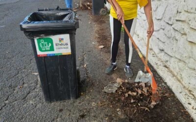 Mutirão de varrição favorece limpeza urbana em Ilhéus.