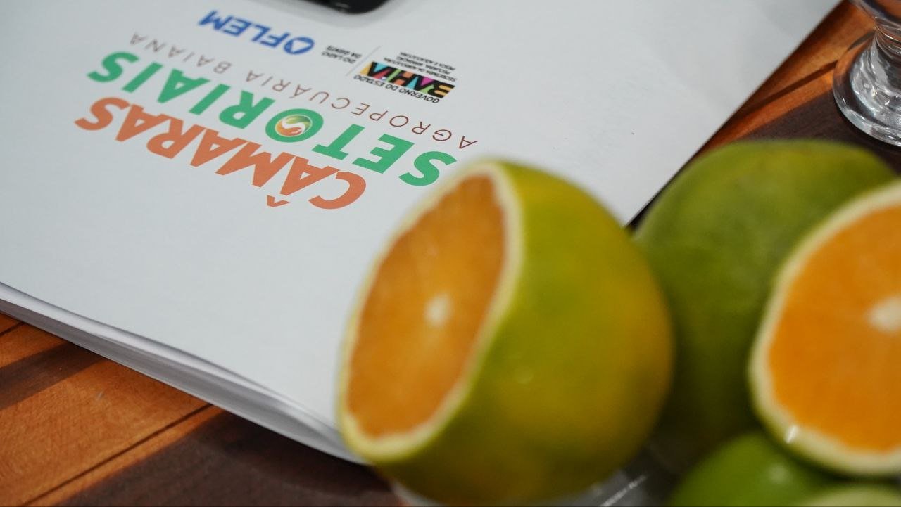 Câmaras Setoriais em debate: cacau, sisal, dendê e citrus abrem o calendário 2026.