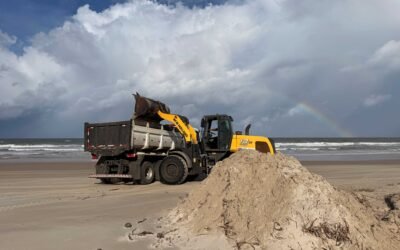 Prefeitura de Ilhéus inicia limpeza das Praias da Zona Norte para proteger tartarugas marinhas.