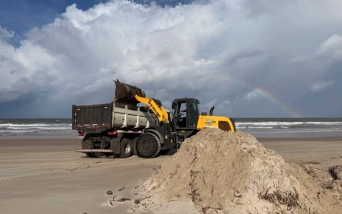 Prefeitura de Ilhéus inicia limpeza das Praias da Zona Norte para proteger tartarugas marinhas.