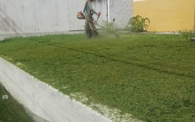 Prefeitura realiza limpeza e roçagem em prédios públicos da Avenida Gov. Roberto Santos (Esperança)