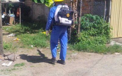 Ilhéus reforça combate ao mosquito da dengue no Iguape e alerta a população para subnotificação.