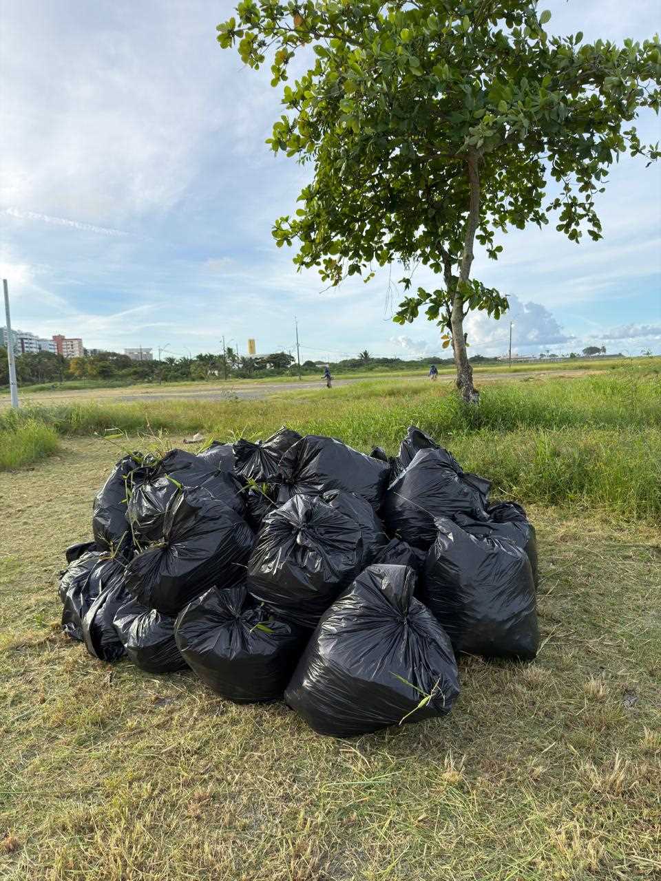 Prefeitura de Ilhéus inicia preparação da arena para o Meu São João Amado 2026.