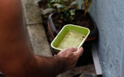 Bahia registra queda de 41% nos casos de dengue em 2026.