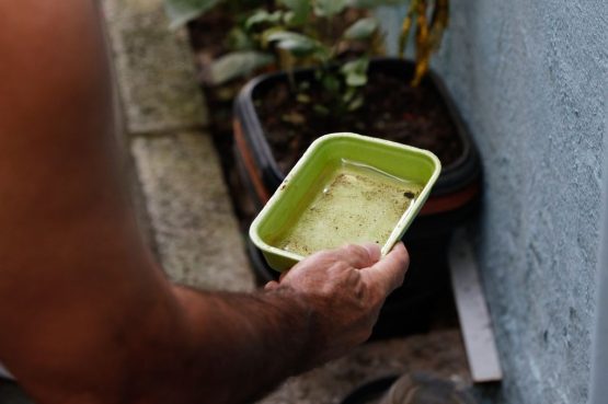 Bahia registra queda de 41% nos casos de dengue em 2026.