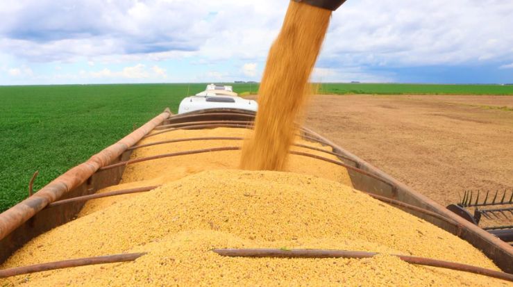 PIB do agronegócio baiano totalizou R$ 19,2 bi no 1º trimestre de 2026.