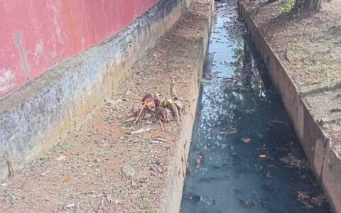 Prefeitura realiza limpeza e desobstrução de canal no Hernani Sá.
