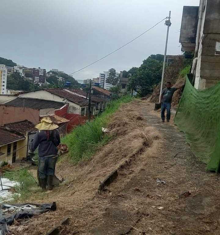 Manutenção urbana contempla novas áreas com roçagem e capinagem.