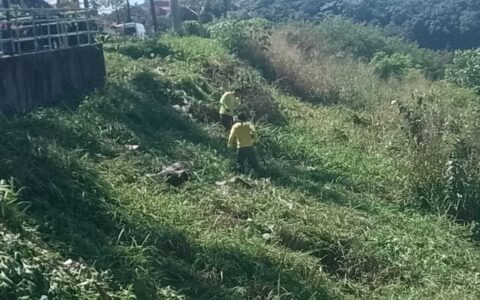 Serviços de capinagem são intensificados em diferentes pontos de Ilhéus.