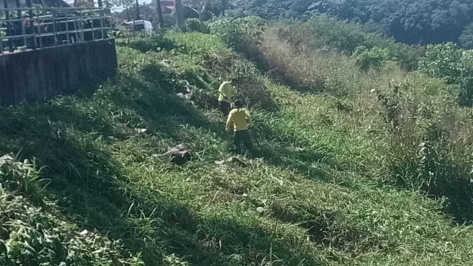 Serviços de capinagem são intensificados em diferentes pontos de Ilhéus.