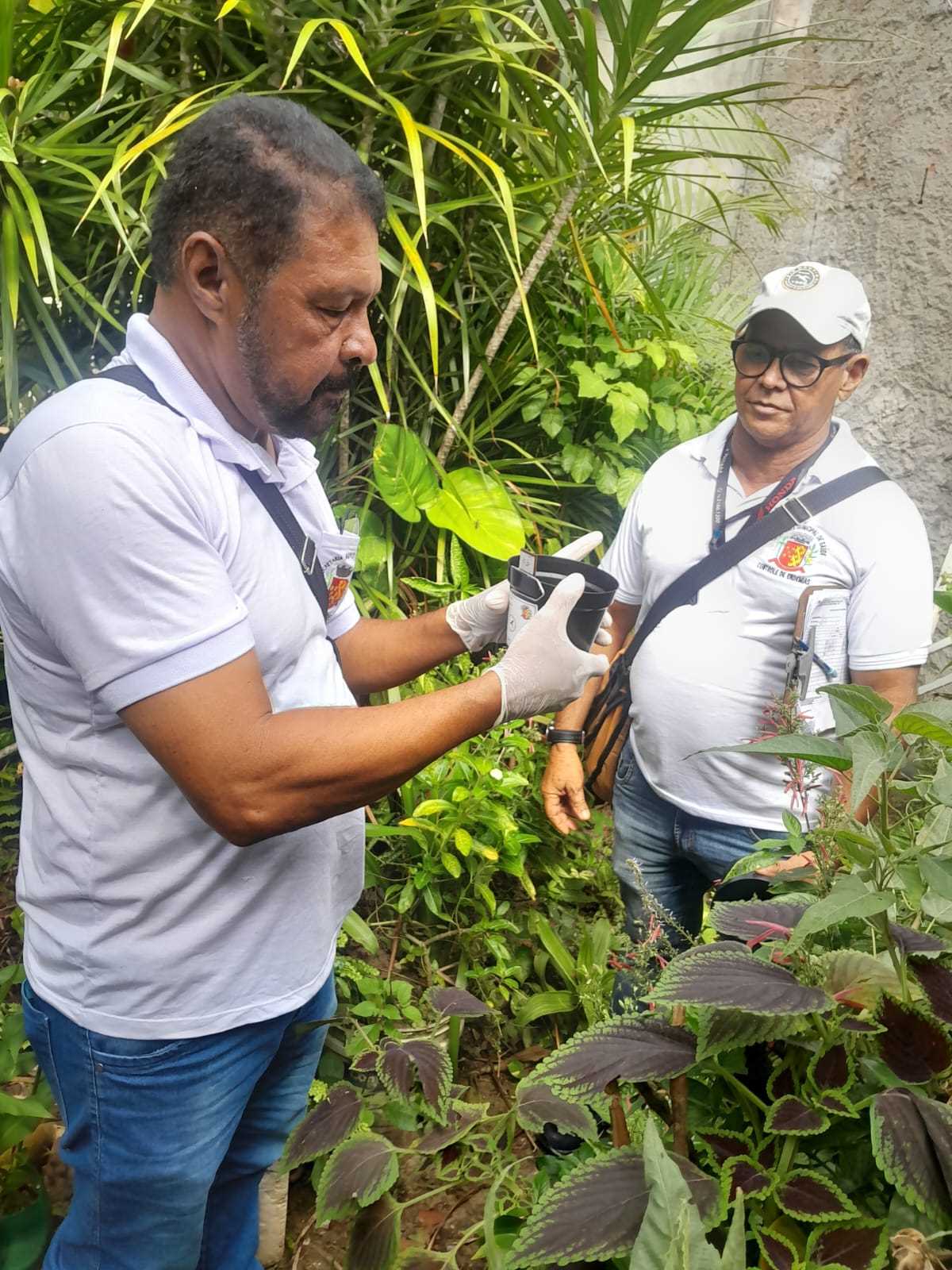 Prefeitura amplia monitoramento do Aedes aegypti e promove mobilização contra arboviroses.