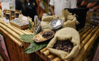 Chocolat Bahia volta a Ilhéus com marca histórica de 17 edições e formato atualizado.