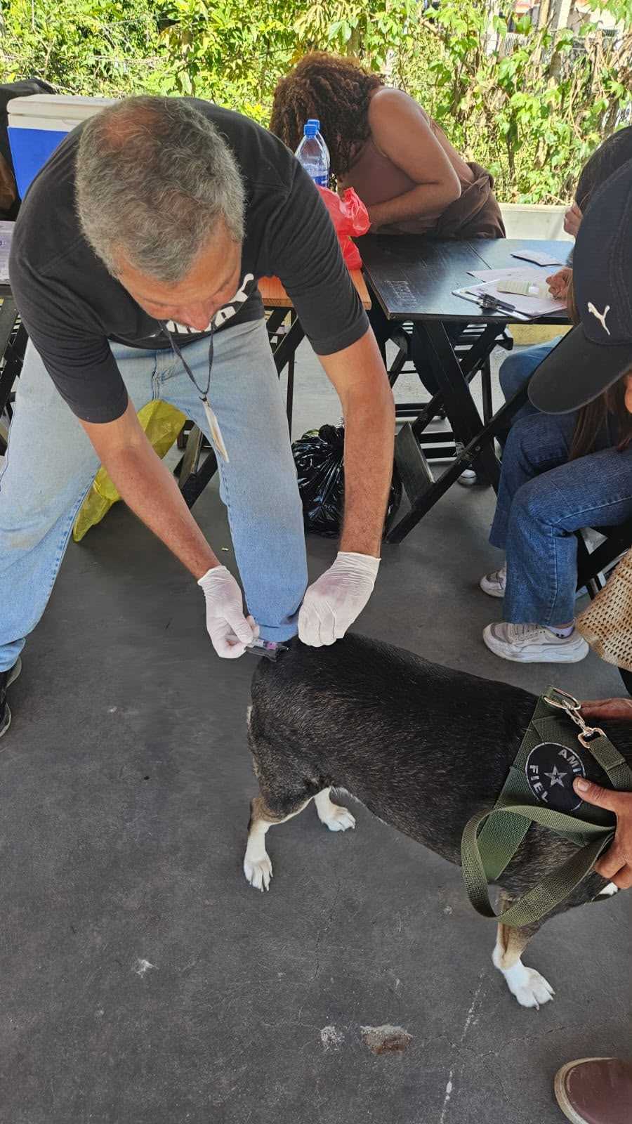 Dia D de Vacinação garante imunização de 1.236 cães e gatos em Ilhéus.