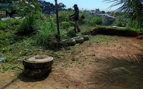Limpeza e manutenção integram rotina de serviços urbanos em Ilhéus.