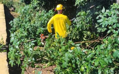 Serviços Urbanos realiza mutirão de limpeza no Teresópolis para a Festa de Nossa Senhora das Vitória.