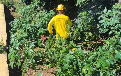 Serviços Urbanos realiza mutirão de limpeza no Teresópolis para a Festa de Nossa Senhora das Vitória.
