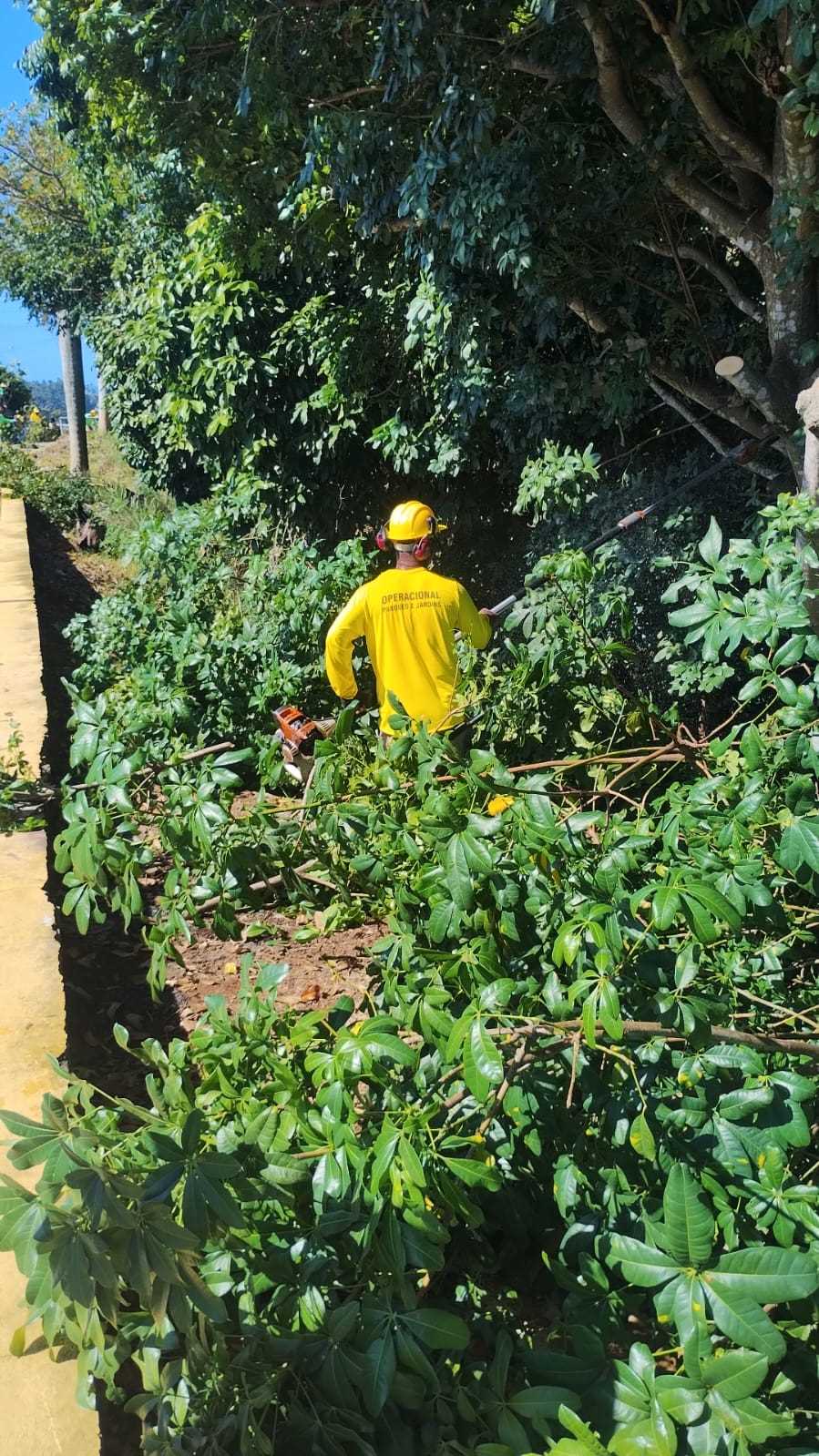 Serviços Urbanos realiza mutirão de limpeza no Teresópolis para a Festa de Nossa Senhora das Vitória.