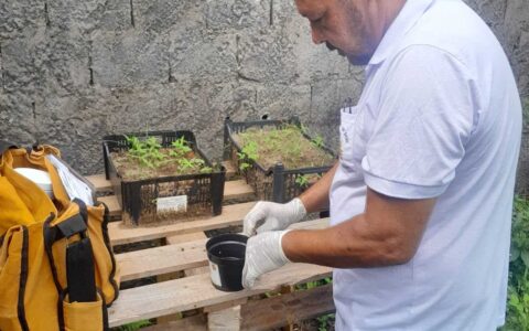 3º LIRAa aponta situação de risco em Ilhéus para o Aedes aegypti.