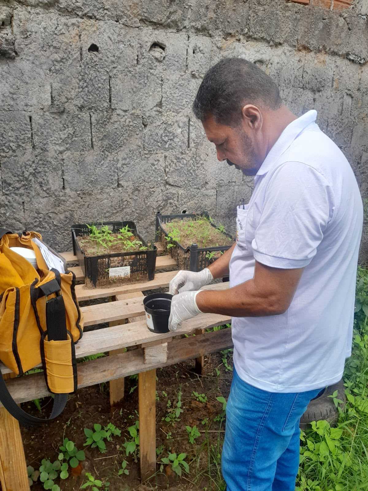 3º LIRAa aponta situação de risco em Ilhéus para o Aedes aegypti.
