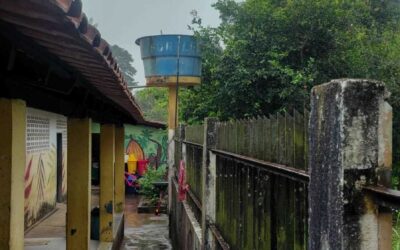 Escola da comunidade de Juerana recebe serviço de poda.