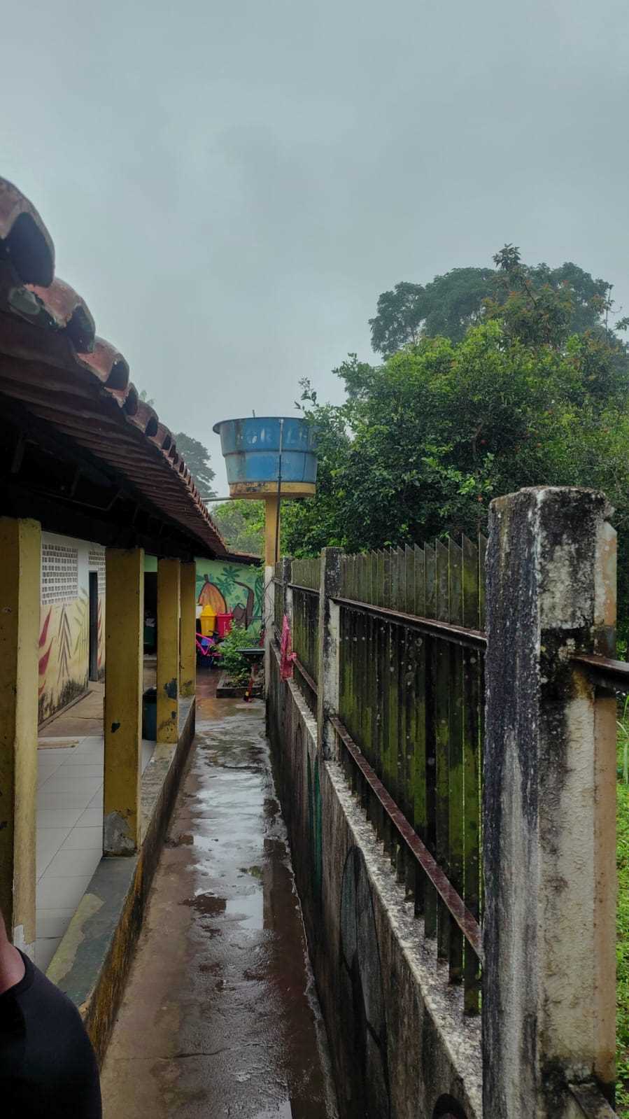 Escola da comunidade de Juerana recebe serviço de poda.