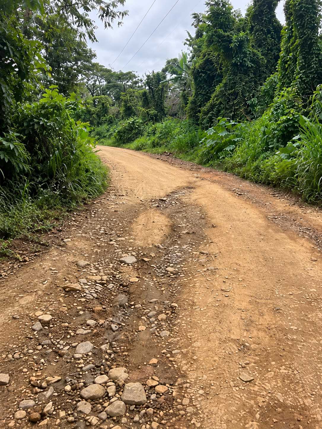 Prefeitura esclarece situação de estrada na Carobeira.
