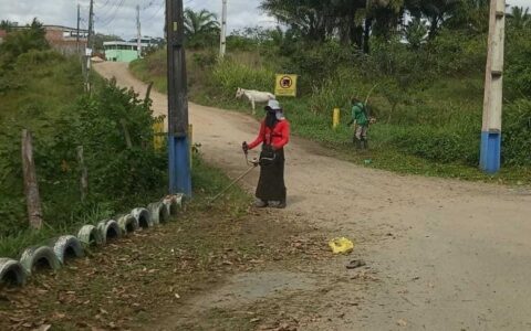 Roçagem e capinagem beneficiam diversos pontos de Ilhéus.