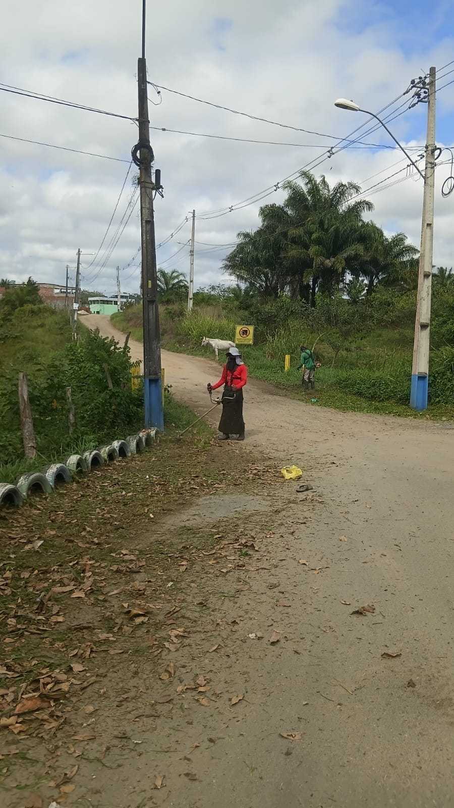 Roçagem e capinagem beneficiam diversos pontos de Ilhéus.