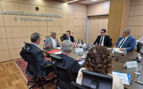 Acordo abre caminho para previsão de safra de cacau na Bahia.