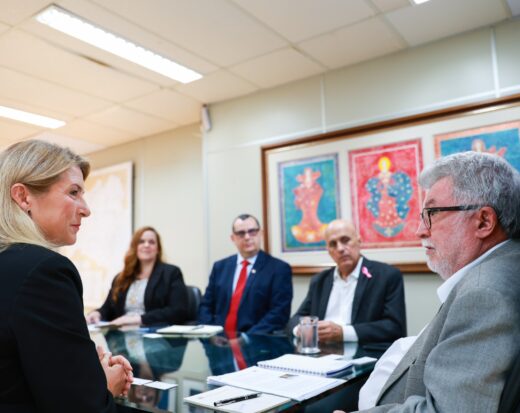 SDE recebe Embaixada da Suécia e discute oportunidades de cooperação econômica.