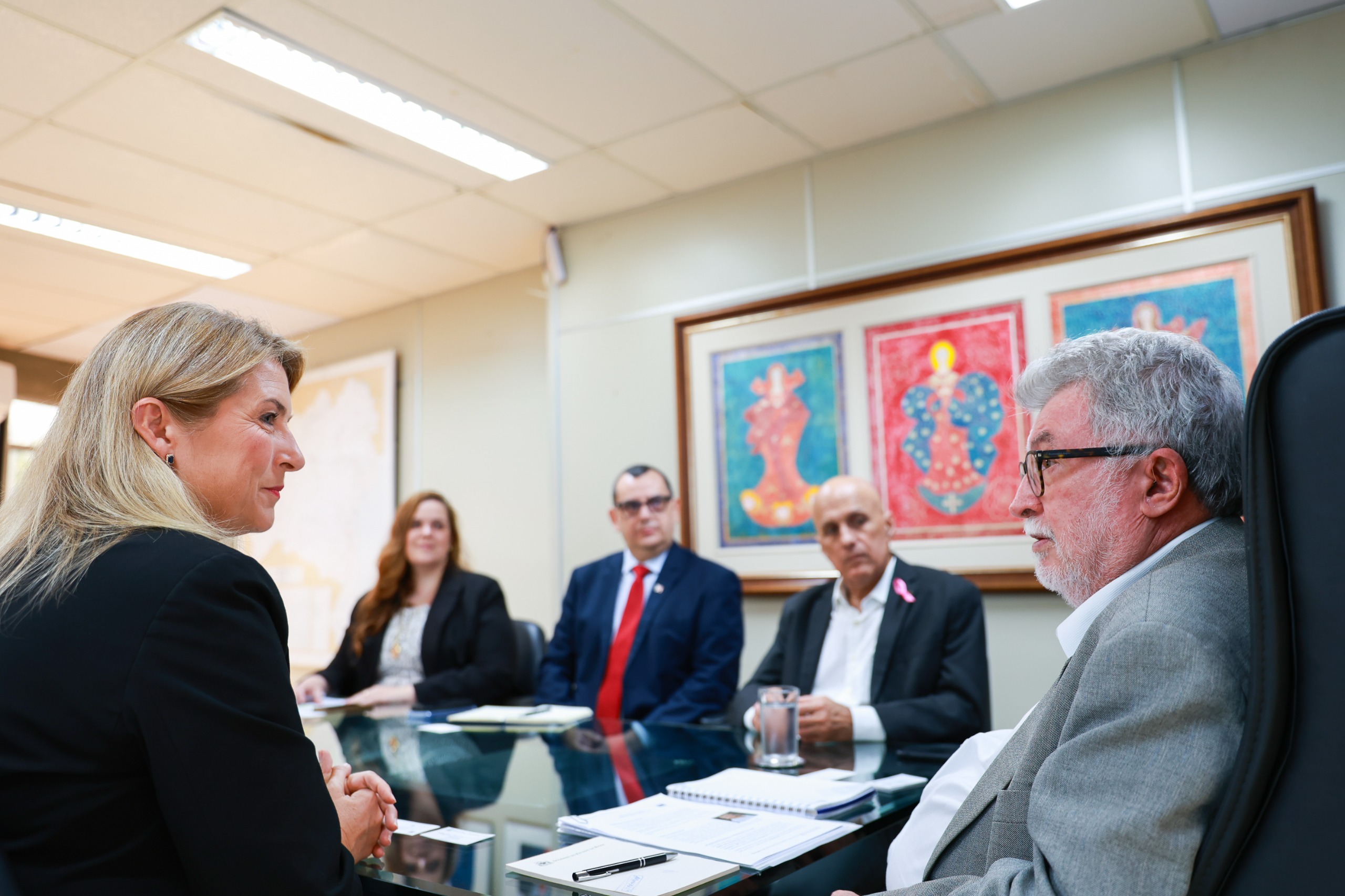 SDE recebe Embaixada da Suécia e discute oportunidades de cooperação econômica.